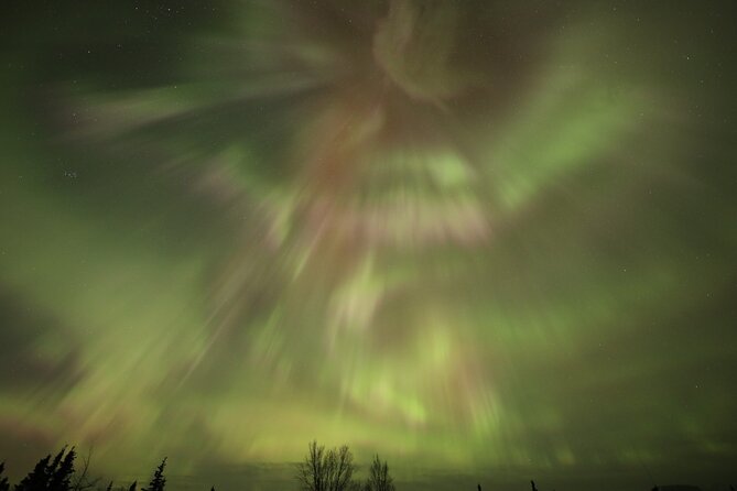 1 Day Shared Tour Arctic Circle and Aurora Viewing in Alaska - Quick Take: What Makes This Aurora Trip Work