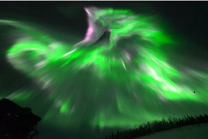 1 Day Shared Tour Arctic Circle and Aurora Viewing in Alaska - Dalton Highway Time: Why the Drive Is Part of the Point