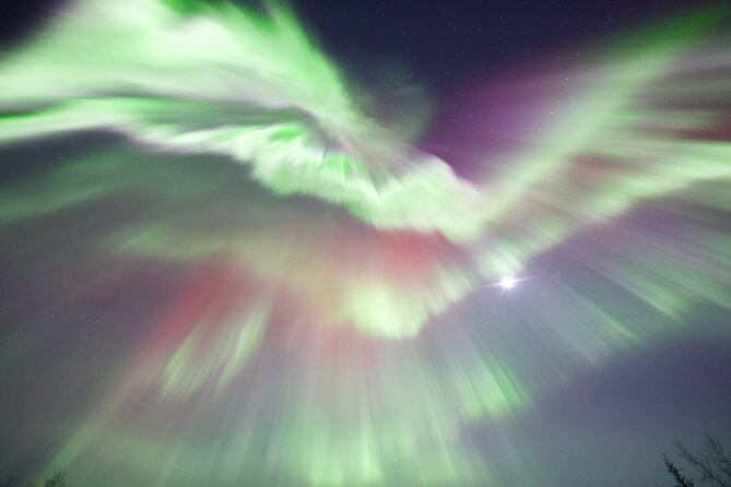 1 Day Shared Tour Arctic Circle and Aurora Viewing in Alaska - Elliot Highway at Night: The First Aurora Shot