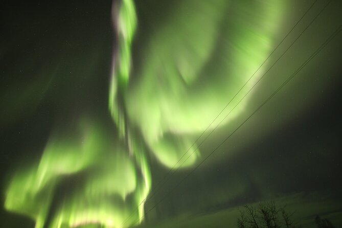 1 Day Shared Tour Arctic Circle and Aurora Viewing in Alaska - BLM Arctic Circle Sign at Night: The Big Moment