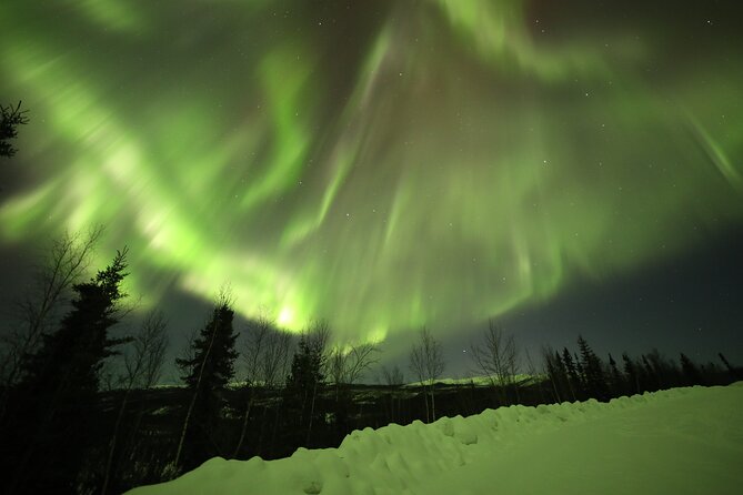 1 Day Shared Tour Arctic Circle and Aurora Viewing in Alaska - James Dalton Highway and the Snow-Capped Magic Forest Stop