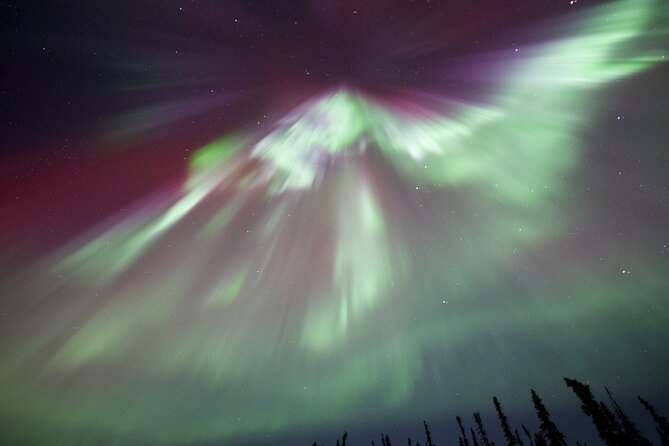 1 Day Shared Tour Arctic Circle and Aurora Viewing in Alaska - Comfort, Safety, and What to Bring