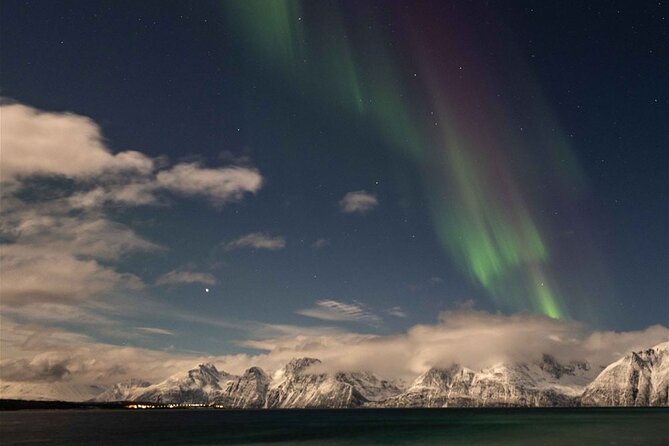 24hr Northern Lights & Whale Watching Cruise - Tromsø boarding at 7PM, departing at 8PM