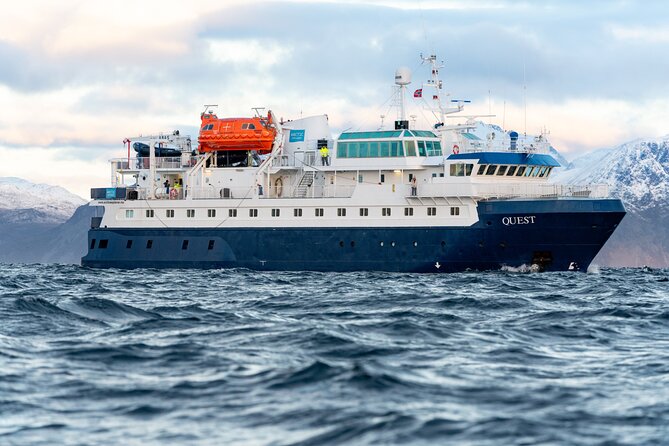 24hr Northern Lights & Whale Watching Cruise - Northern Lights chase by boat: your best shot, not a guarantee