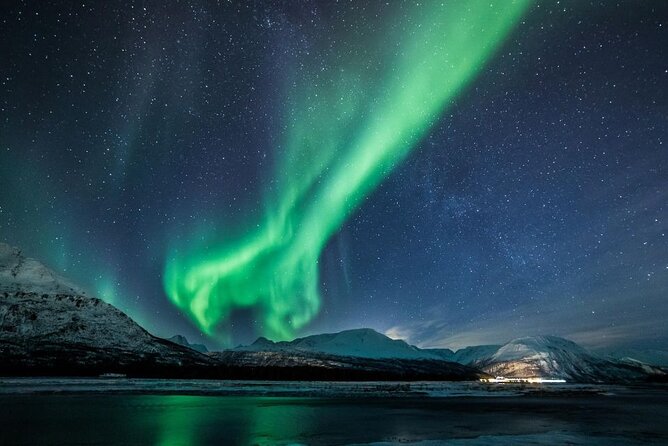 24hr Northern Lights & Whale Watching Cruise - Price, group size, and what you’re really paying for