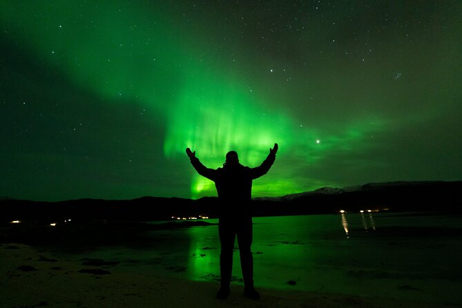 7 hours Tromsø Aurora Tour: Photos, snacks & warm drinks included - Key highlights to know before you go