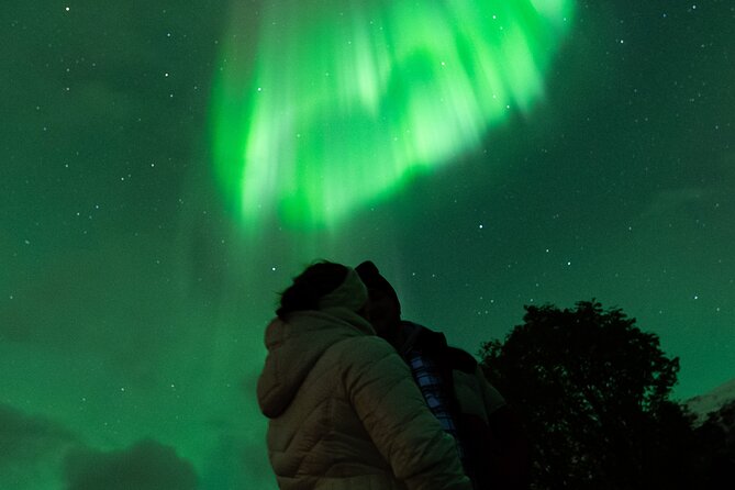 7 hours Tromsø Aurora Tour: Photos, snacks & warm drinks included - Bus tour format: what you gain (and what you give up)