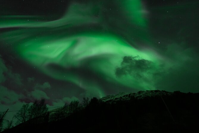 7 hours Tromsø Aurora Tour: Photos, snacks & warm drinks included - Your meeting point: Fr Nansens plass 1A makes life simpler