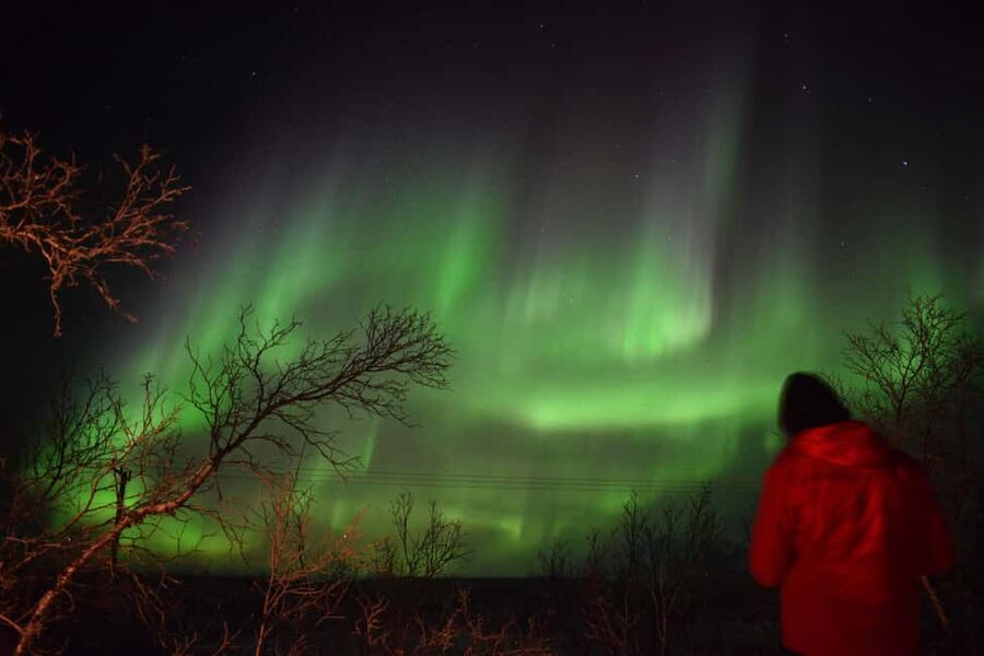 Abisko Arctic Ecology and Northern Lights Tour - Key Points You Should Know
