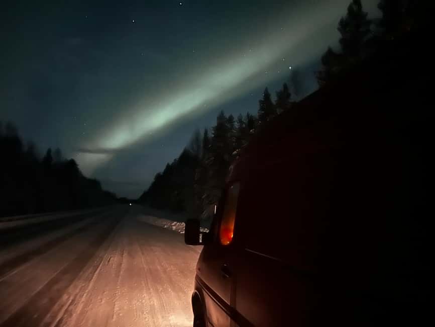 Abisko Arctic Ecology and Northern Lights Tour - Aurora Hunting With a Purpose in Abisko