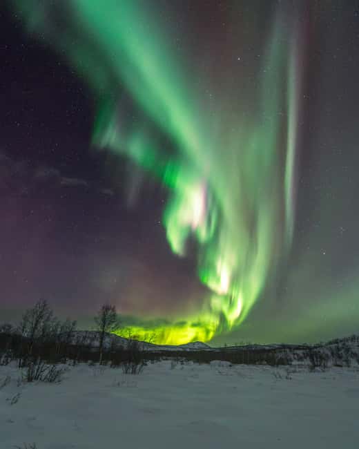 Abisko: Aurora Car Chasing Tour with Photographer - What to Expect When the Aurora Plays Hard to Catch