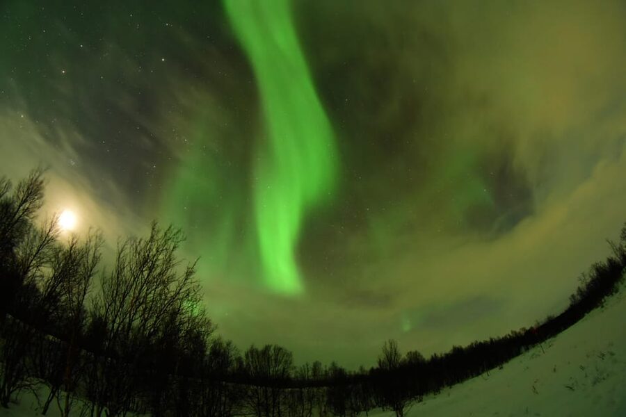 Abisko: Aurora Chasing with Snowmobiles - Abisko’s aurora edge: why this area matters