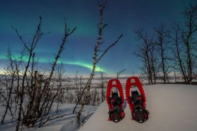 Abisko: Aurora Snowshoeing - Pickup, Van Ride, and the Start Timing You Should Plan For