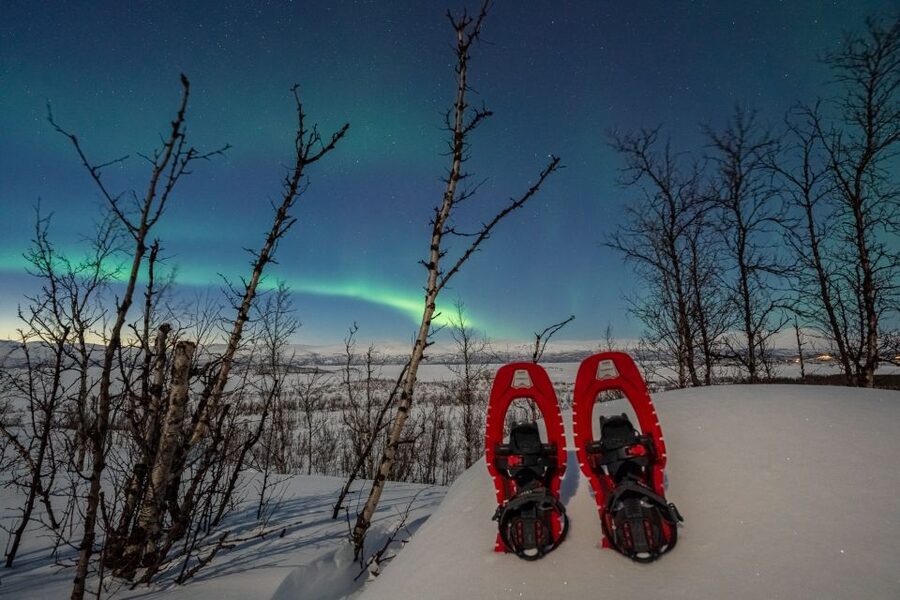 Abisko: Aurora Snowshoeing - Pickup, Van Ride, and the Start Timing You Should Plan For