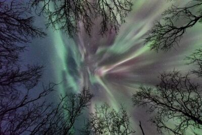 Abisko: Guided Autumn Aurora Chase with Hotel Transfers - Hotel transfers in Abisko: six pickup points, one easy start