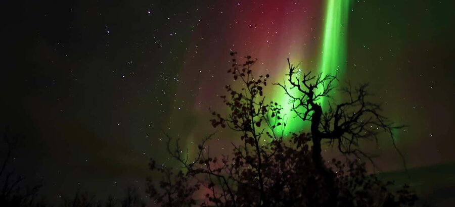 Abisko: Northern Lights Hike with Husky Puppies - The Hike Through Abisko Valley: Puppies, Quiet, and Real Winter Air