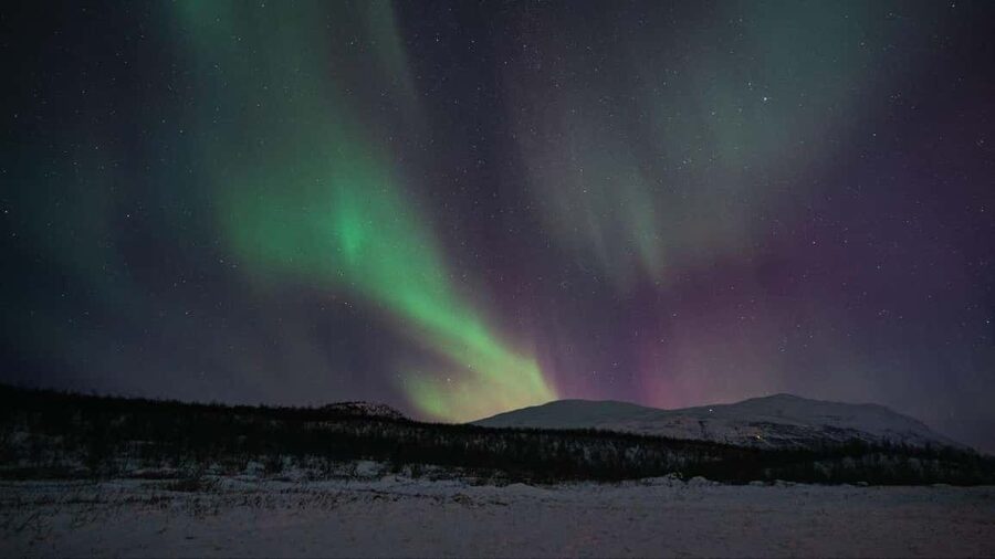 Abisko: Northern Lights Hike with Husky Puppies - Meeting at Abisko.net: What to Expect Before You Walk