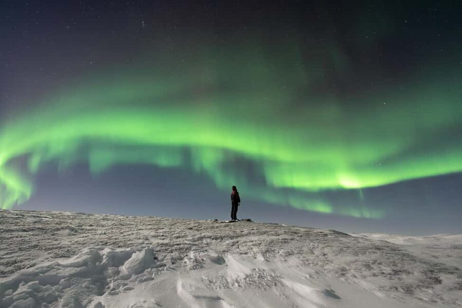 Abisko: Northern Lights Photography Tour with Dinner - Price and logistics: is $230 worth it for the kind of help you get?