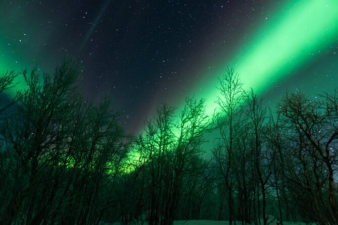 Abisko Northern Lights Tour with Photographer - Pickup, timing, and the small-group advantage at 7:00 pm