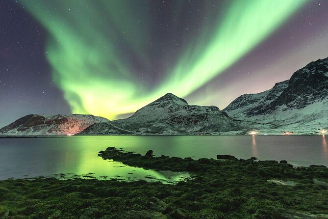 Adults Only Aurora Hunt with Wandering Owl - Key things to know before you go