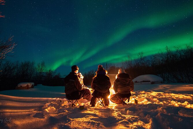 Adults Only Aurora Hunt with Wandering Owl - Why this aurora hunt feels more like a night out in the wild