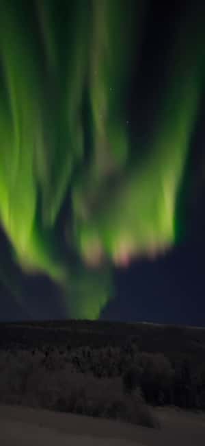 Alaska: Private Northern Lights Viewing Tour - Why this Northern Lights tour is built around photos