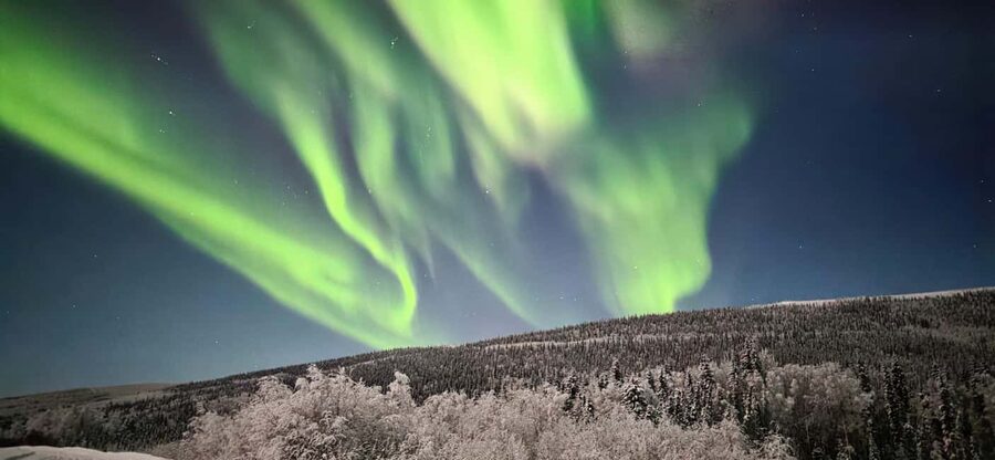 Alaska: Private Northern Lights Viewing Tour - Private SUV or van time: comfort and flexibility in the hunt