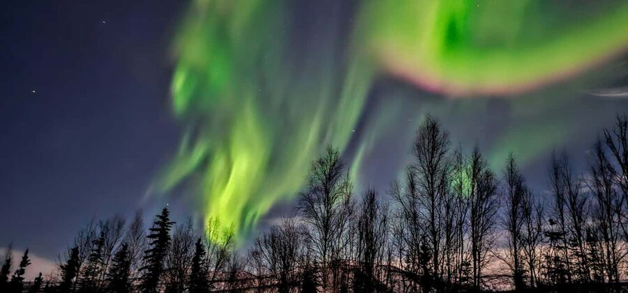 Alaska: Private Northern Lights Viewing Tour - Who should book this tour, and who might want a different plan