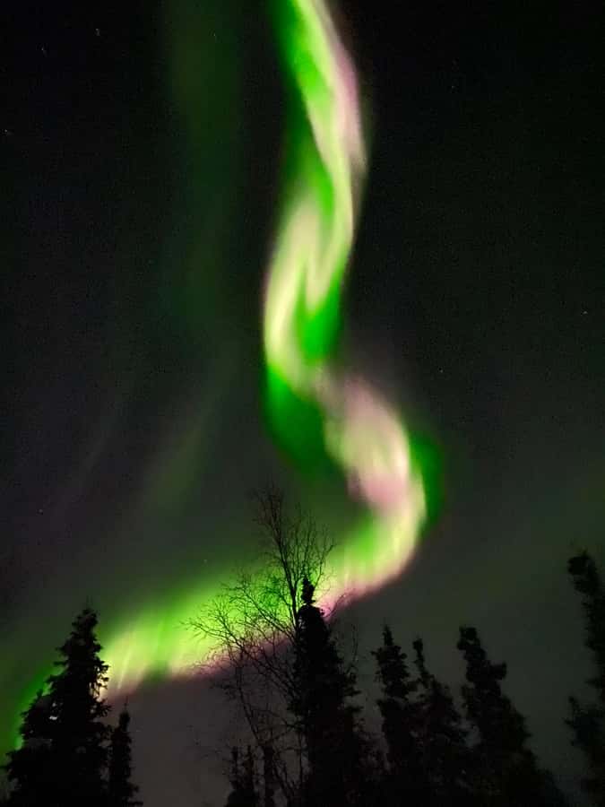 Alaskan Northern Lights/Aurora Borealis Lodges - Transport from Fairbanks hotels: easy start, clean logistics
