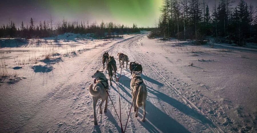 Alta: Dog Sledding Trip under the Northern Lights - Meeting point in Alta: The easy start at Canyon Hotell