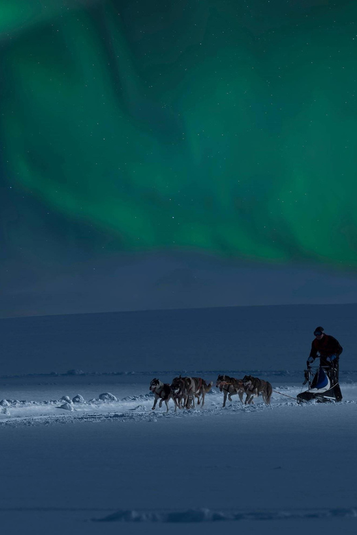 Alta: Dog Sledding Trip under the Northern Lights - Gargia mountain lodge: Coffee, tea, and dog-sled history