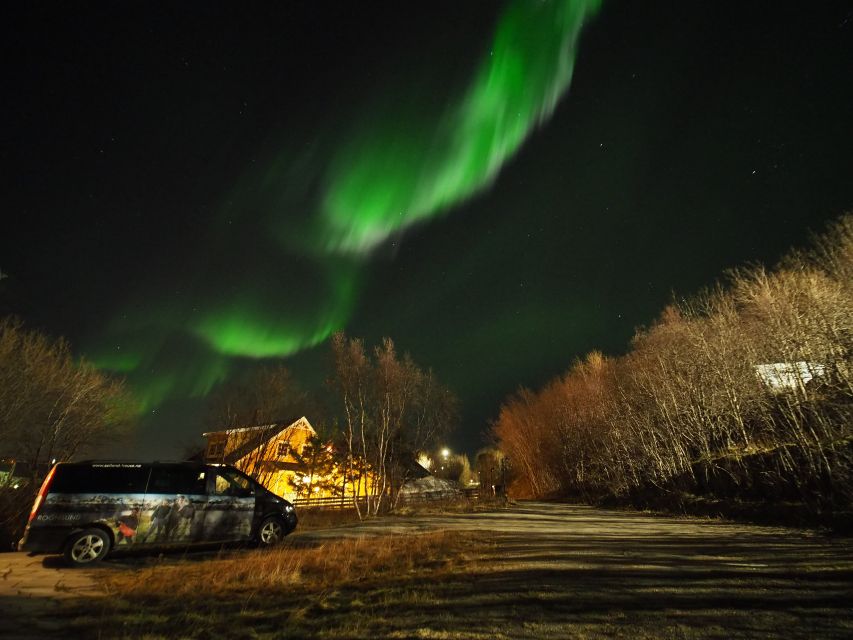 Alta: Small-Group Guided Northern Lights Tour - How This 4-Hour Aurora Hunt Actually Works in Alta