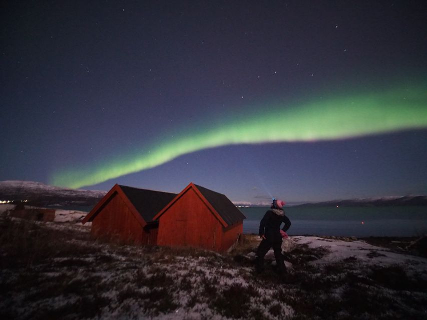 Alta: Small-Group Guided Northern Lights Tour - Why You Keep Moving: KP, Clouds, and Choosing the Right Spot
