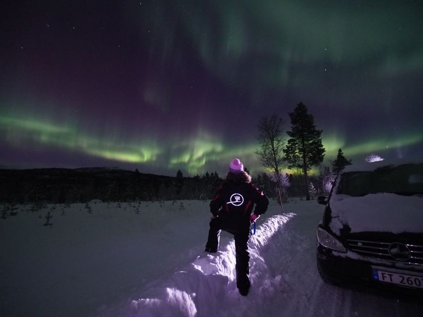 Alta: Small-Group Guided Northern Lights Tour - Small Group Size: Less Waiting on Other People