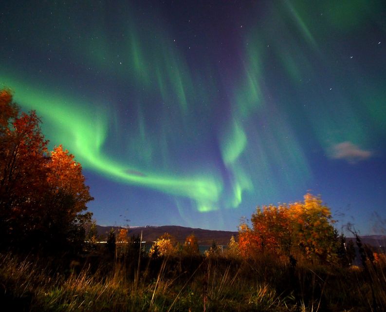 Alta: Small-Group Guided Northern Lights Tour - Price and Value: $251 for an Aurora Night With Real Support