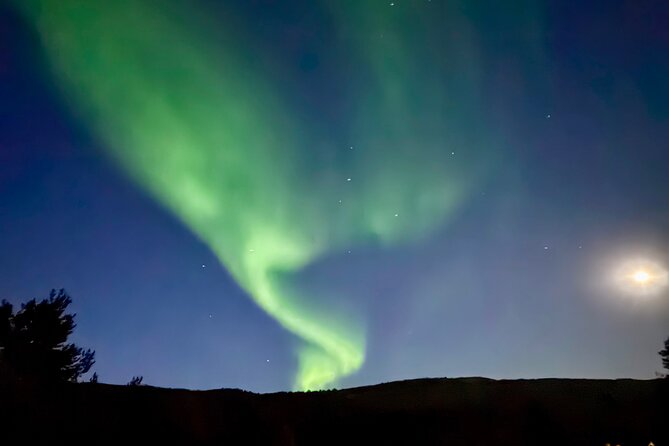 Alta: The Northern Lights Bus – a comfortable Arctic journey - Alta Northern Lights Bus: What This 3-Hour Hunt Actually Means