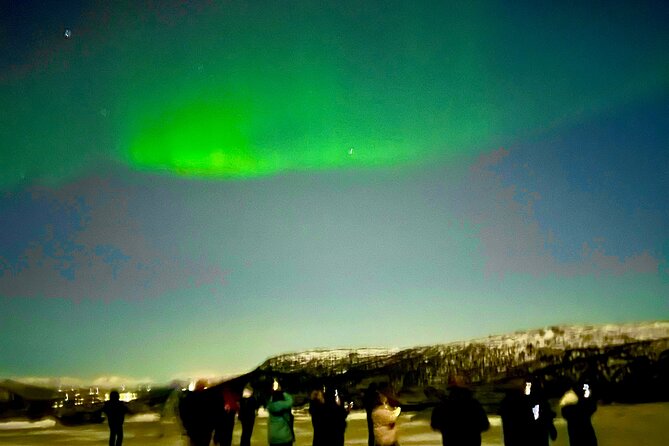 Alta: The Northern Lights Bus – a comfortable Arctic journey - Your Guide’s Job: What Good Guidance Looks Like on a Cloudy Night