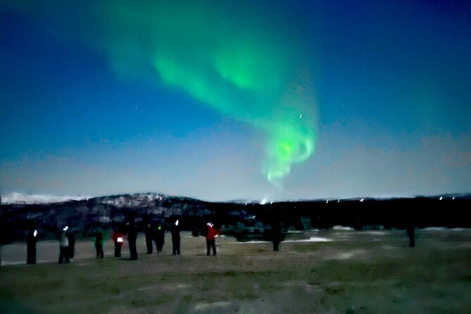 Alta: The Northern Lights Bus – a comfortable Arctic journey - Weather Matters: When the Northern Lights Are the Weather, Not the Plan