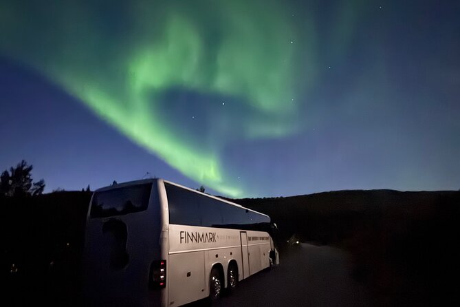 Alta: The Northern Lights Bus – a comfortable Arctic journey - Comfort and Timing: Air-Conditioned Transport and Pickup That Save You Hassle