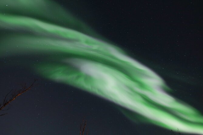 An All-Inclusive Tour - Aurora & Arctic Experience - Your Aurora Chase Plan: How the Night Gets Built Around Clearer Sky
