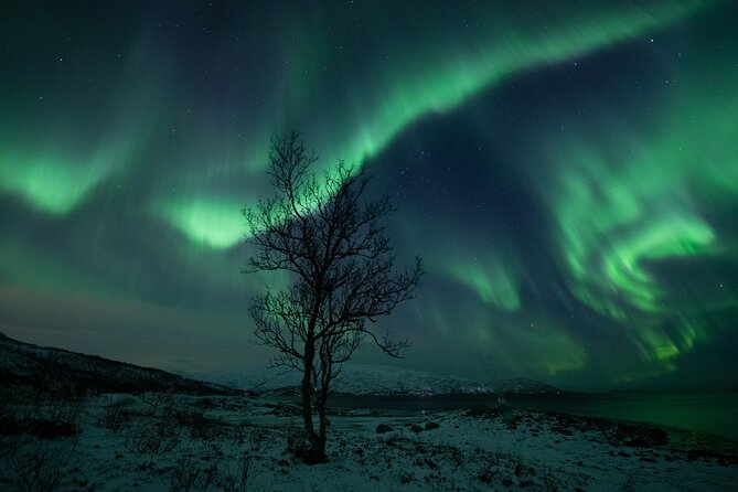 An All-Inclusive Tour - Aurora & Arctic Experience - What If You Don’t See the Northern Lights? The Tour Still Has a Job