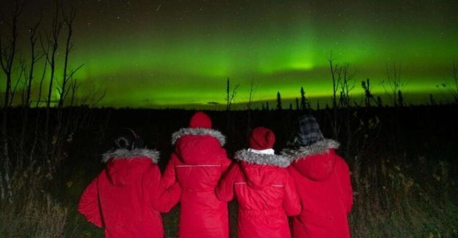 Anchorage: Nighttime Northern Lights Tour - Warm, easy logistics: pickup and the ride comfort you’ll thank yourself for