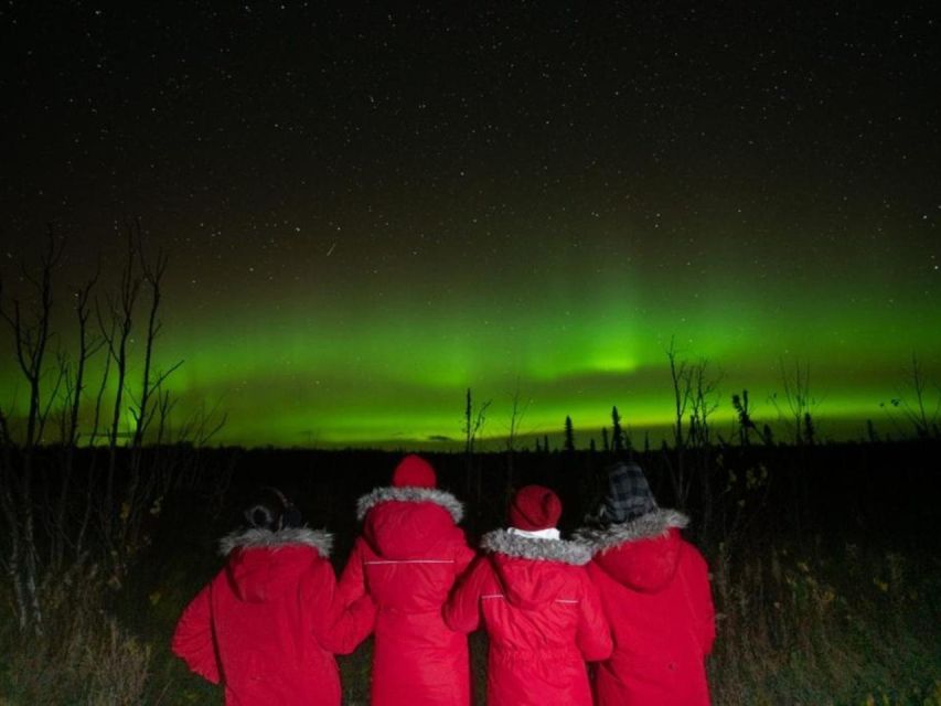 Anchorage: Nighttime Northern Lights Tour - Aurora photography help that goes beyond waving a camera