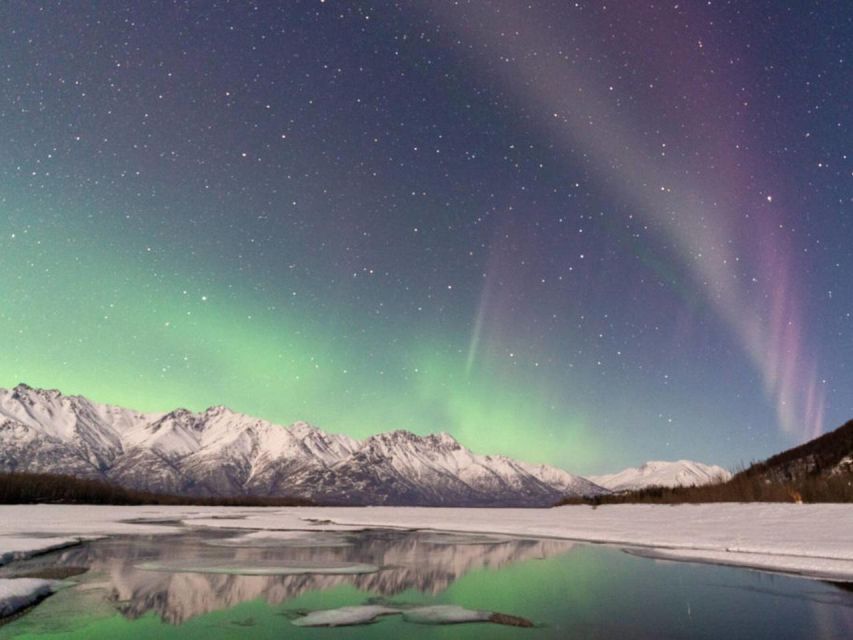 Anchorage: Nighttime Northern Lights Tour - Price check: does $321 per person feel like good value?