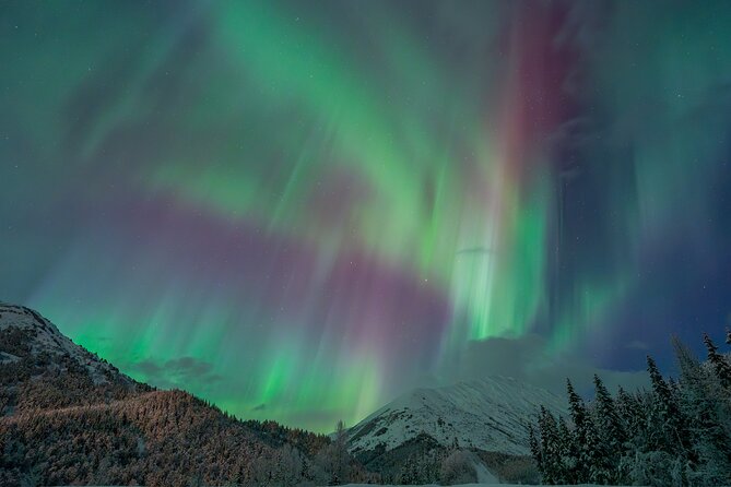 Anchorage Northern Lights Tour - Meeting at 8 pm, then watching the night get underway