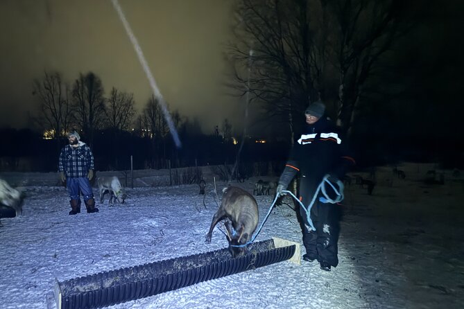 Arctic Adventure with Reindeer and Northern Lights Hunt 18:30 pm - What’s included, what might be extra, and what you should plan for