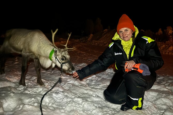 Arctic Adventure with Reindeer and Northern Lights Hunt 18:30 pm - Feeding reindeer in the Arctic: hands-on care with real context