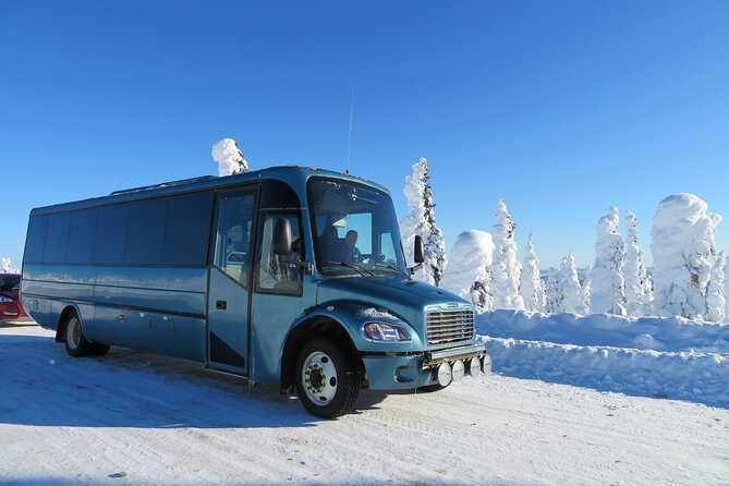 Arctic Circle Aurora Drive Adventure - Arctic Circle at Milepost 115: the certificate payoff