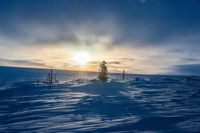 Arctic Circle Aurora Drive Adventure - The Yukon River Camp break: food, warmth, and a leg-stretch moment