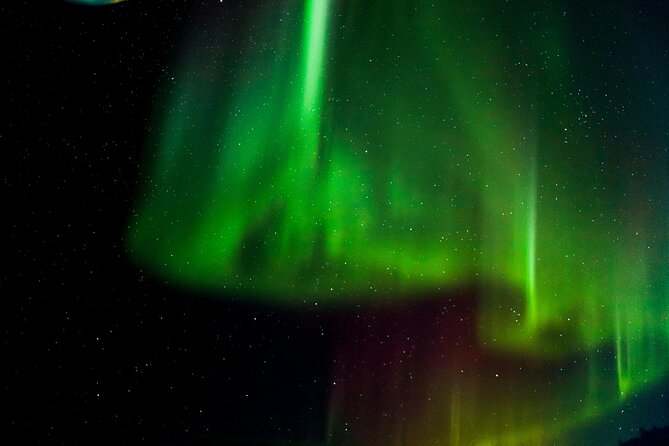 Arctic Darkness & Starlight Adventure with Snowshoes - Key highlights in plain terms